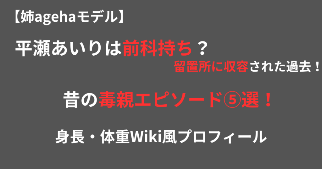 平瀬あいりの前科持ち記事