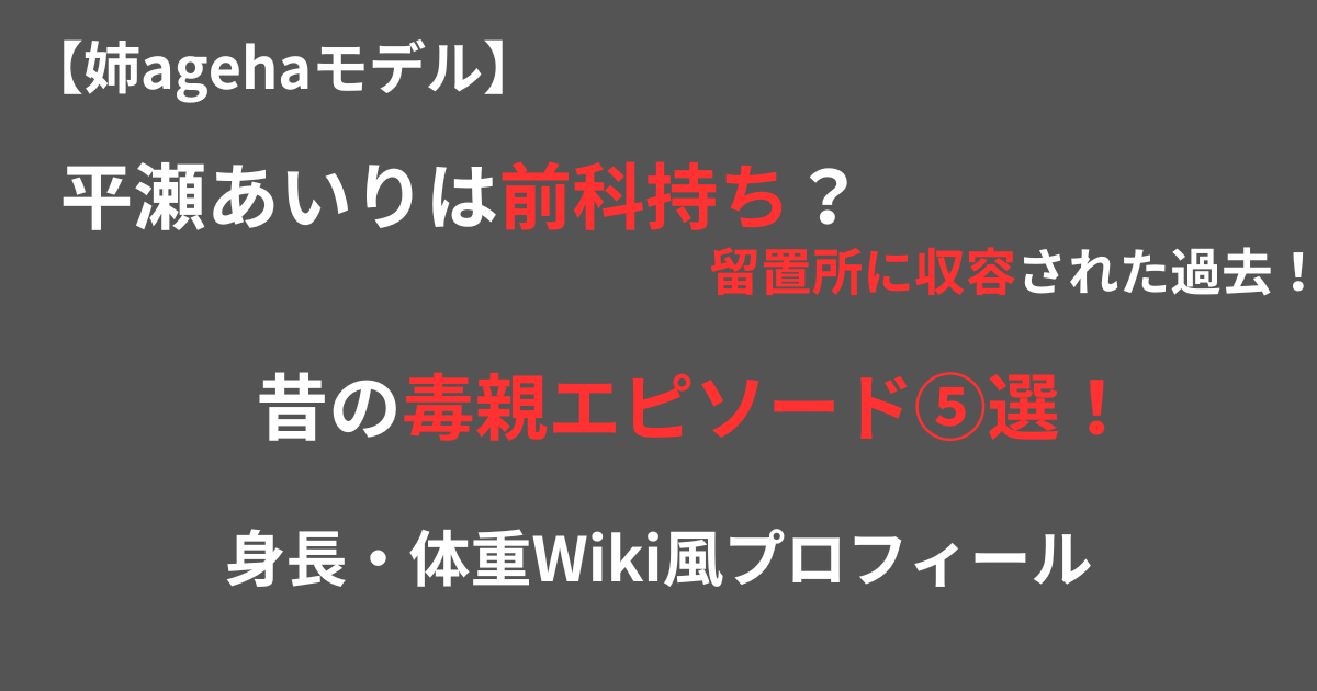 平瀬あいりの前科持ちの記事